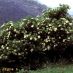 Imagen en el campo