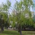Imagen en el Campus